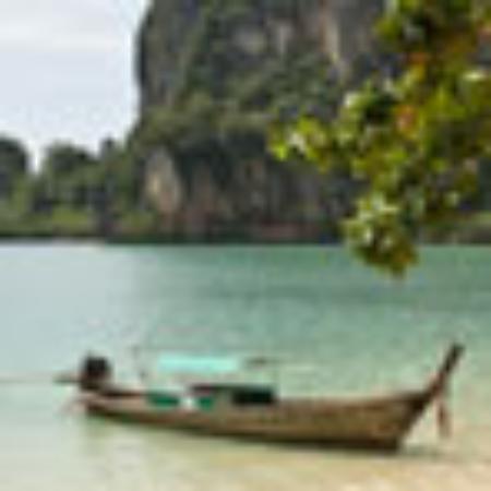 Hong Mo Korean Tan Kao